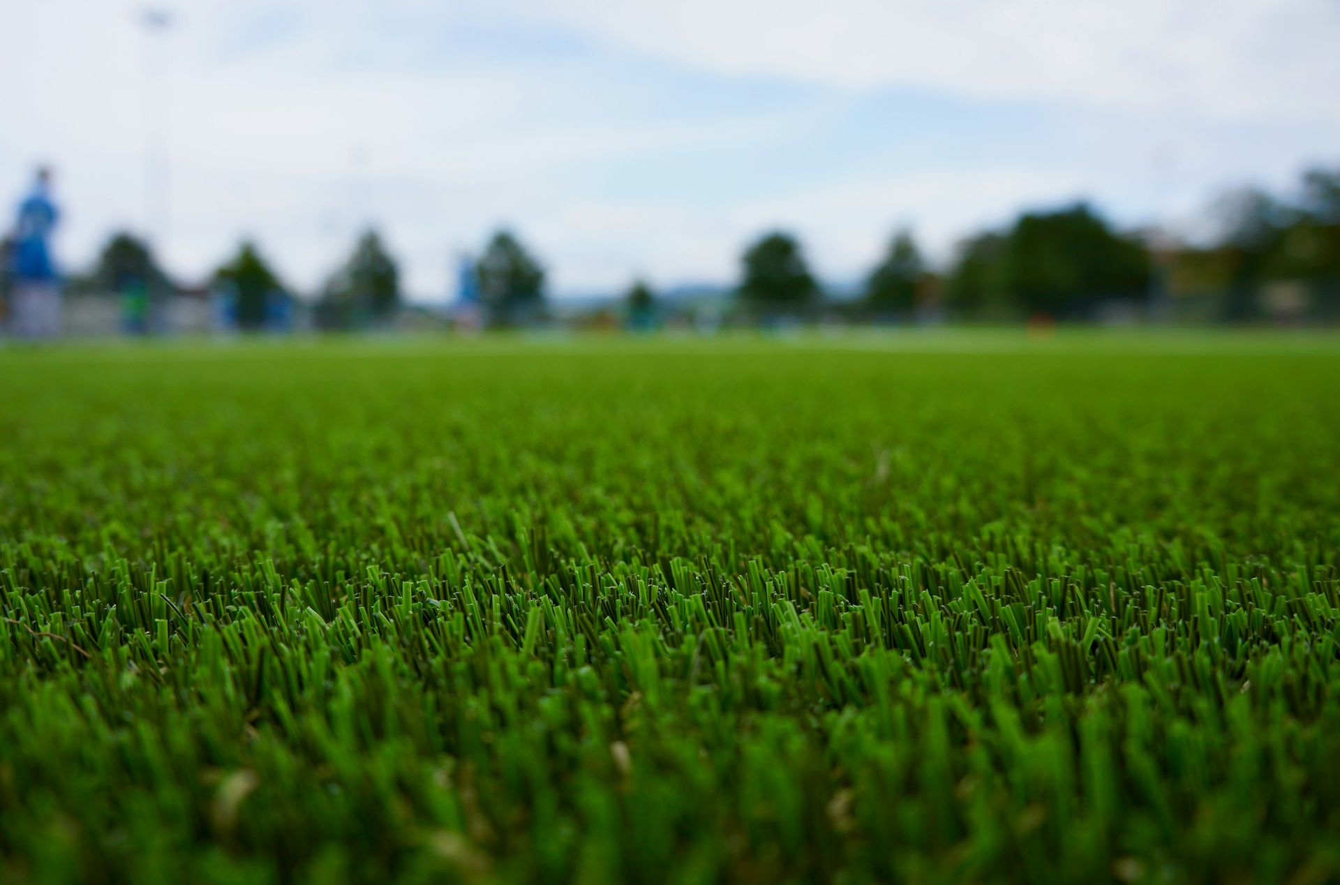 green grass field during daytime