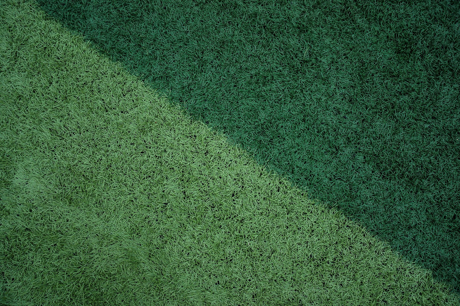 Close-up of a vibrant green grass surface with contrasting tones for design backgrounds.